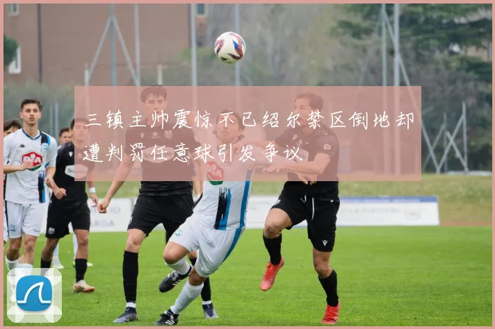 三镇主帅震惊不已绍尔禁区倒地却遭判罚任意球引发争议