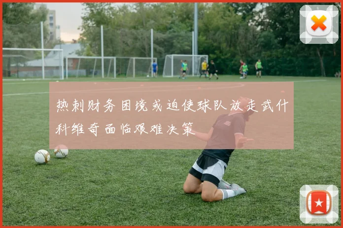 热刺财务困境或迫使球队放走武什科维奇面临艰难决策