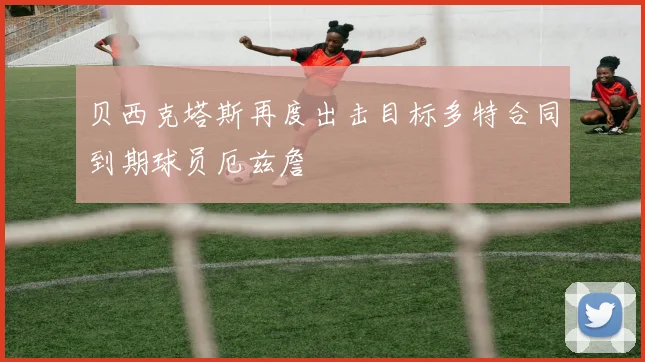 贝西克塔斯再度出击目标多特合同到期球员厄兹詹